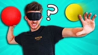 BLIND Dodgeball Challenge [upl. by Siramed]