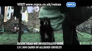 RSPCA Campaigns  Voices [upl. by Berne]