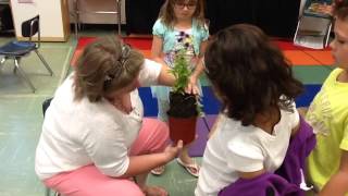 PBL in Kindergarten [upl. by Lourdes574]