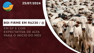 Boi firme em R230arroba em SP e com expectativa de alta para o início do mês [upl. by Siradal]