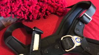 Allsafe Car Seat Harness For Dogs Review  Dog Training Nation [upl. by Lahey]