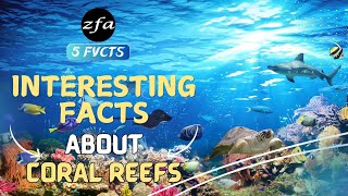 5 FVCTS  5 Facts Coral Reefs  zfa facts fish sea viralvideo shorts fyp [upl. by Bonacci]