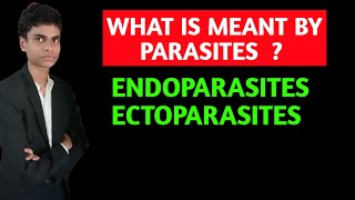 What is meant by parasite  What is ectoparasites and endoparasites  All concepts explained [upl. by Ettesoj]