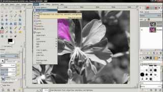 Selective coloring  Desaturation  GIMP 28 tutorial [upl. by Anpas588]