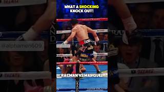 What a SHOCKING KNOCKOUT Marquez vs Pacquiao boxing knockoutpower boxingfight trending [upl. by Brier]