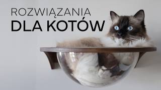 ROZWIĄZANIA DLA KOTÓW  Drapak kuweta osiatkowanie balkonu 😻 [upl. by Gaspard]