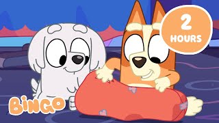 🔴LIVE Bingos Big Adventure 🤩🧡  Get Exploring with Bingo and Bluey 🌎  Bingo [upl. by Krahling]