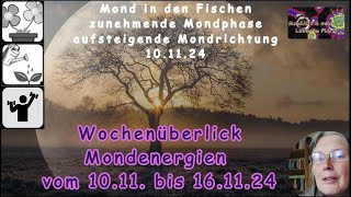 Wochenüberblick der Mondenergien vom 1011 bis 161124 [upl. by Karlan]