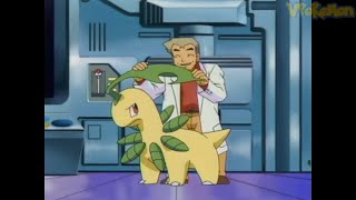 Bayleef attacks Professor Oak  Professor Oak Funny Moments [upl. by Dnalerb]