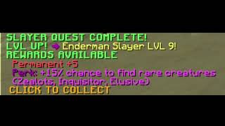 Loot from Enderman Slayer 9 [upl. by Llertnov315]