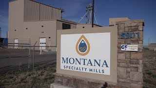 Montana Specialty Mills expands oilseed processing capabilities [upl. by Heurlin]