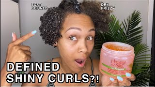 I Tried Hawaiian Silky For Silky Soft and Defined Curls On My Natural Hair  Did It Work [upl. by Arze]