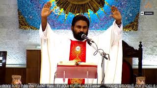 St Joseph Church amp St Jude Shrine Thevara Live Stream [upl. by Lorollas68]