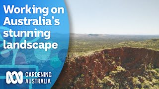 The stunning experience of a ranger on the Larapinta Trail  My Garden Path  Gardening Australia [upl. by Rior]