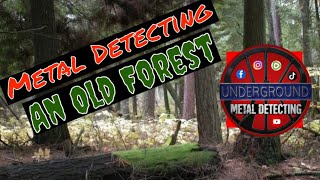 Metal Detecting in a spooky haunted Forest  shocking finds [upl. by Enohs]