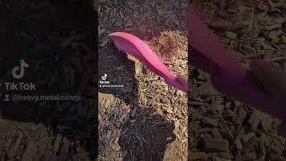 dirt outdoors minelab metaldetecting treasure equinox800 adventure garret arizona park [upl. by Seve]