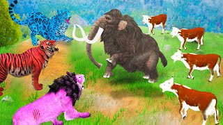 Woolly Mammoth Fight with Giant Tiger Lion Cheetah Attack Cow Cartoon Saved by Elephant Wild Animals [upl. by Vial]