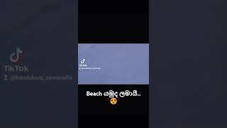 Negombo Beach ❤️😍viral trending foryoupage foryou trip travel srilanka solo beach [upl. by Suirtimed318]