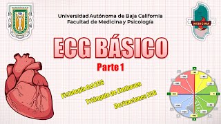 Aprende a interpretar ECG Básico Rápido y Sencillo  Parte 1  GUÍA RESUMIDA [upl. by Timotheus]