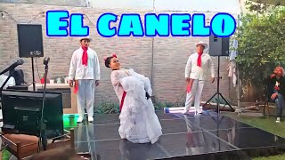 Danza Folclórica Veracruz El Canelo [upl. by Tada28]