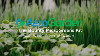 AeroGarden Bounty MicroGreens Kit Product Video [upl. by Virgy]