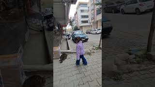 Gel pisi pisi mama ye keşfet shots cat kedi catlover funny cute [upl. by Hans]