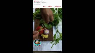 tolits GuapoTv is live Fresh Spinach Vegetable [upl. by Starbuck]