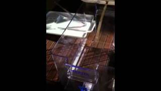 DIY water ionizer [upl. by Dominy]