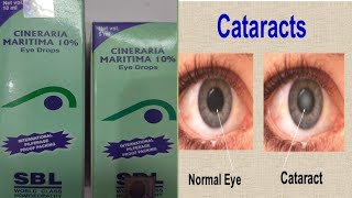 CINERIA MARITIMA  सिनेरिया मैरिटीमा हिंदी में पूरी जानकारी  CINERARIA MARITIMA EYE DROPS [upl. by Elicia]