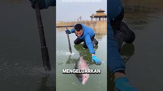 Pria ini menyelamatkan nyawa seekor ikan😨 shorts [upl. by Liba830]