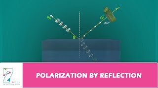 Polarization by Reflection [upl. by Aramahs17]