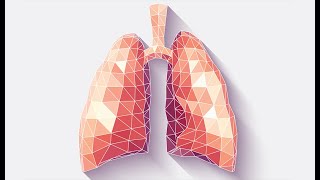 Physiology  Respiration  lecture 9  Chemical amp Nervous regulation of Respiration  2732018 [upl. by Otsenre]