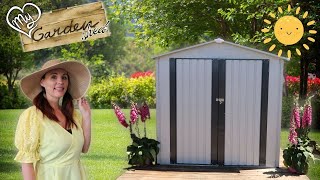 The Ultimate Shed Review What You Need to Know [upl. by Miche]