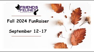 Fall 2024 FunRaiser Friends of Felines Rescue Center FFRC [upl. by Anaeirb]