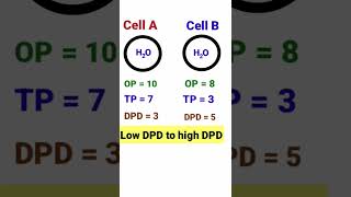 Movement of water in cells with reference to Diffusion pressure deficit [upl. by Airak264]