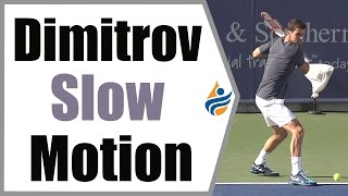 Dimitrov Slow Motion Collection Cincinnati 2014 [upl. by Meisel]