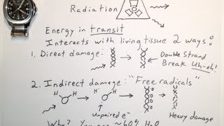 Two Ways Ionizing Radiation Damages DNA  One Minute Medical School [upl. by Eibba]