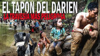 La Selva del Darién Testimonios de Migrantes Valientes  El Camino Mortal hacia Estados Unidos [upl. by Nahgeem]