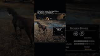 RDR2 • All Missouri Fox Trotter Horse Colors and Locations • Red Dead Redemption 2 [upl. by Good]