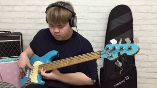 Revelry Kings Of Leon  Bass Cover KES [upl. by Enyleve]