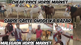 Sabse Saste Ghode available in Malegaon Jatra Nanded  Malegaon Horse Market 2024  Malegaon Yatra 🐎 [upl. by Anirazc]