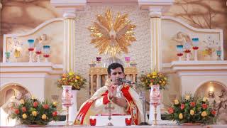 വിശുദ്ധ കുർബാന Holy Mass Malayalam Syro Malabar  FrNaveen Ukken  8281557326 Munippara church [upl. by Derag]