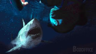 Upside Down Shark Fight  47 Meters Down Uncaged  CLIP [upl. by Coriss]