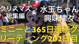 ミニーと365日連続グリーティング202日目〜水玉ちゃん興味津々ampクリスマス総集編〜 my Disney tour day 202 I meet minnie mouse [upl. by Ilhsa657]