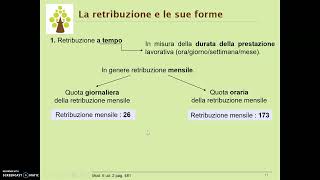 31 Forme retributive Retribuzione a tempo [upl. by Axela]