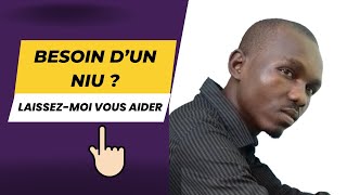 Avoir un Numéro d’identifiant Unique au Cameroun  procédure en ligne [upl. by Solohcin]