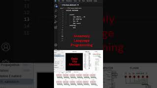 Assembly Language Programming assembly [upl. by Chryste]