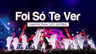 Harmonia do Samba  Foi Só Te Ver  DVD Ao Vivo Em Brasília [upl. by Nivlen]