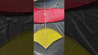 VIETNAM KITE😱 tabanog saranggola shorts youtubeshorts [upl. by Huoh]