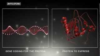 Epitope Mapping [upl. by Palila]